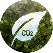 Zhejiang Ruiguan Tür und Fenster Co., Ltd.